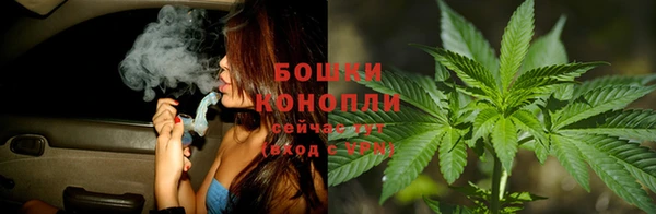гашик Бронницы