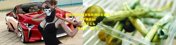 скорость Бородино