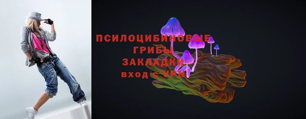 скорость Бородино