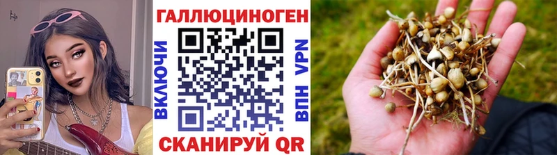 Псилоцибиновые грибы Psilocybine cubensis купить закладку Балашиха