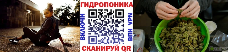 где можно купить наркотик  Балашиха  OMG онион  Бошки марихуана гибрид 